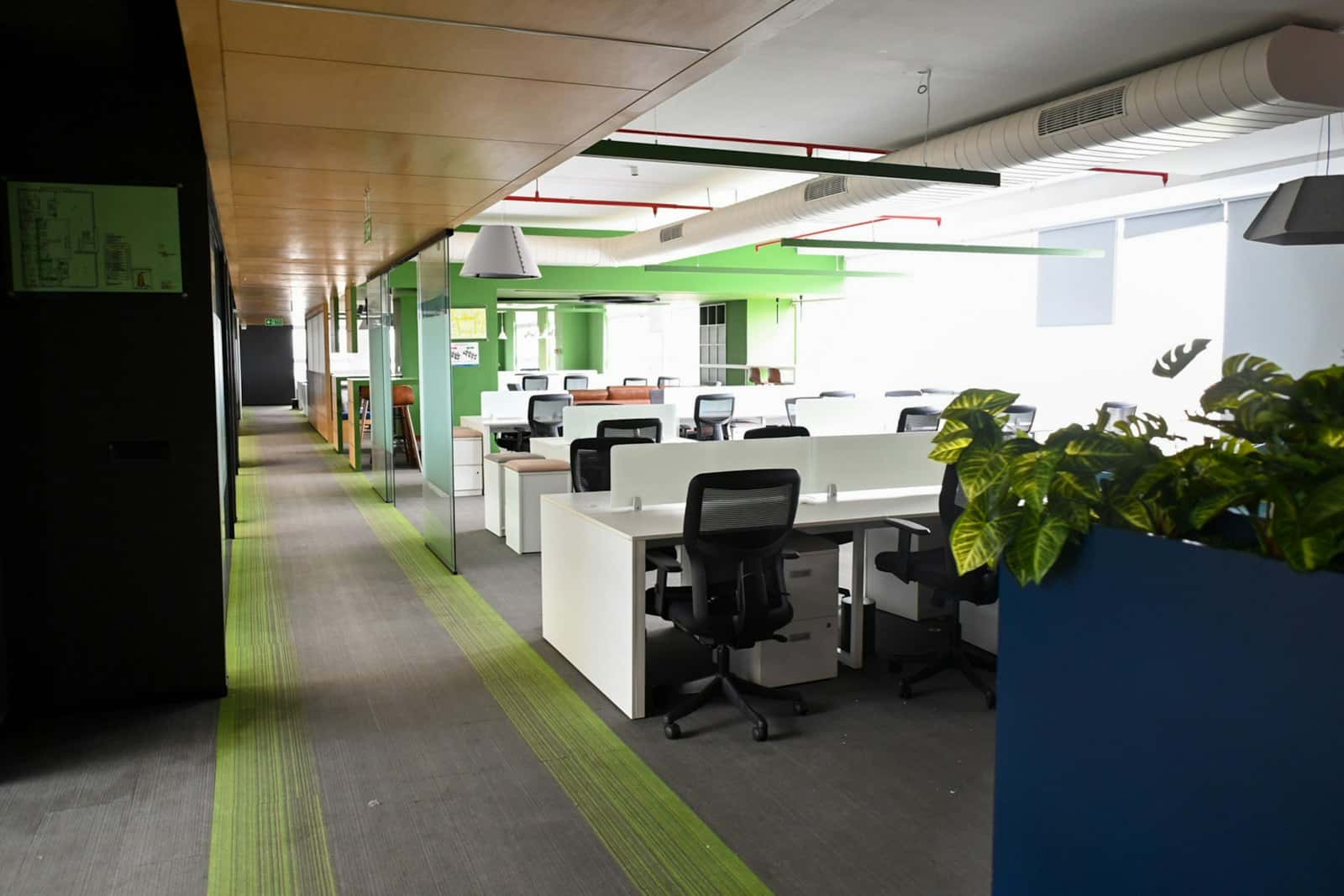 Open co-working floor with rows of white desks, black mesh chairs and green-striped carpet under a timber ceiling