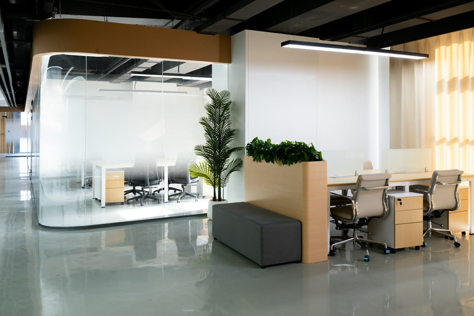 Glass-walled meeting room beside a corridor, with planters, a grey bench and workstations in a bright office