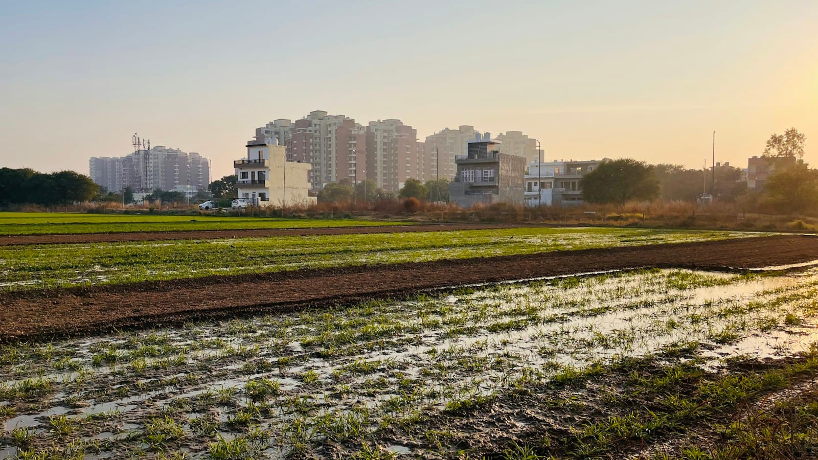 Flat open field in soft evening light with new houses and high-rise apartment blocks in the background