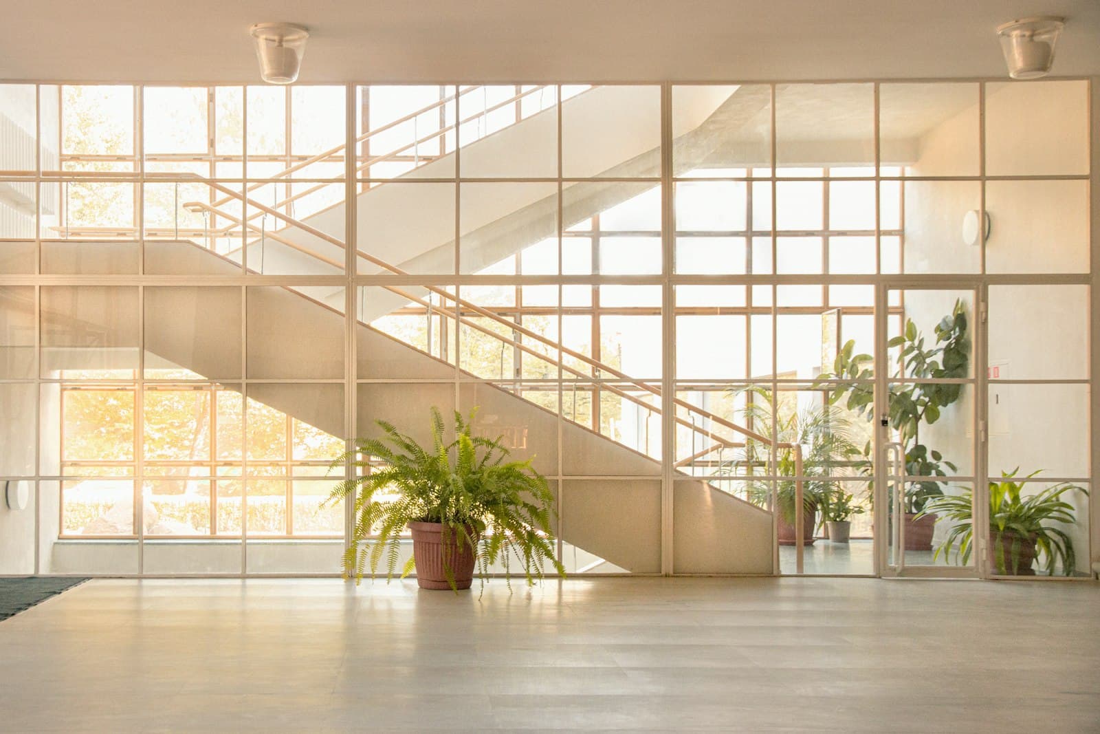 Staircase rising behind a full-height glazed screen, with potted ferns and warm daylight on a pale floor